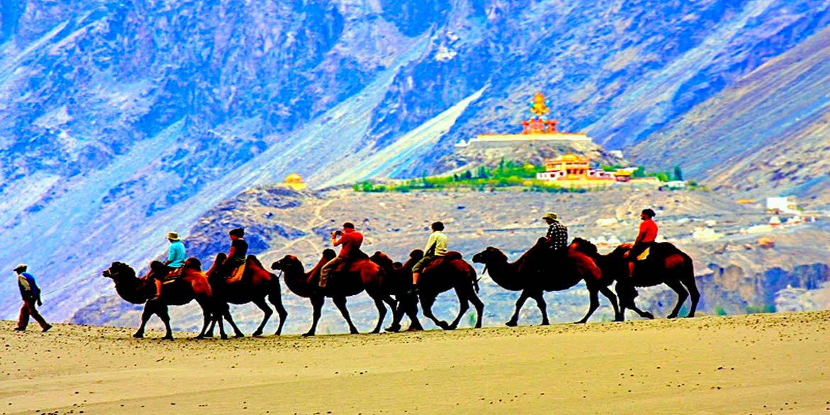 Ladakh, Leh Ladakh Ep 4, Ladakh Marathi, Nubra Valley, Leh to Hunder, Camel Safari